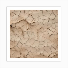 Cracked Earth 5 Art Print