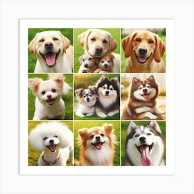 Collage Of Dogs: Happy National Pet Day! Art Print