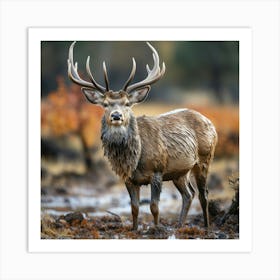 Deer Stag Art Print