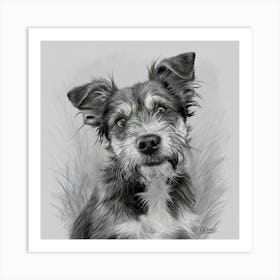 Black And White Drawing Of A Dog Art Print