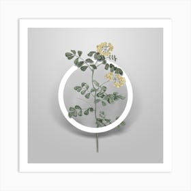 Vintage Scorpion Vetch Plant Minimalist Flower Geometric Circle on Soft Gray n.0365 Art Print