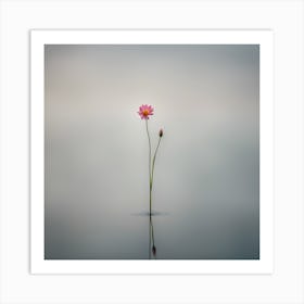 Lotus Flower 1 Art Print