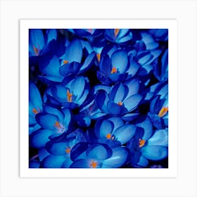 The Indigo Garden Botanical Fine Art Print Art Print