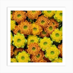 Orange Chrysanthemums Art Print