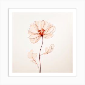 Poppy Flower 6 Art Print