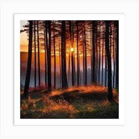 Sunrise In The Forest 19 Art Print