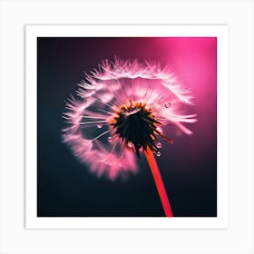 Illuminated by Pink Light, Dandelion Seeds and Water Droplets Art Print