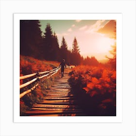 Sunset On A Wooden Path Art Print