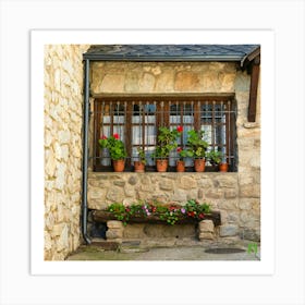 Stone House With Flower Pots 202308171245177rt1pub Art Print