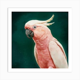 Pink Cockatoo Art Illustration Painting Cinematic 1f9dgddaqzmqh6fkiwprjg Qc6h Mhsosy850fhidhza Art Print