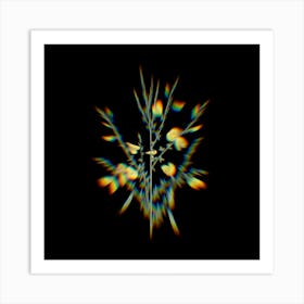Prism Shift Yellow Broom Flowers Botanical Illustration on Black Art Print