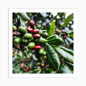 Coffee Beans On A Tree 41 Art Print