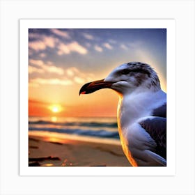 Seagull At Sunset Art Print