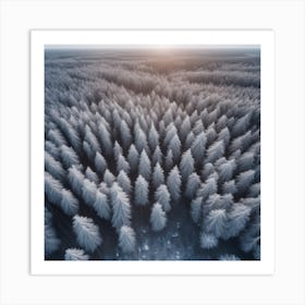 Aerial View Of Snowy Forest 3 Art Print