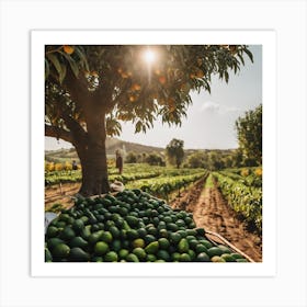 Ripe Mangoes In The Field Art Print