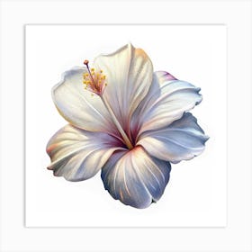 White Hibiscus Flower With Yellow Center And Purple Undertones Art Print