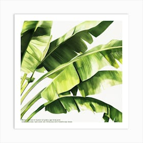 Palm Shadows Poster