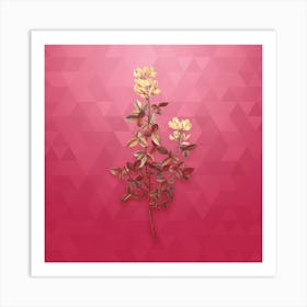 Vintage Common Cytisus Botanical in Gold on Viva Magenta Art Print