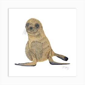 Baby Seal. 1 Art Print