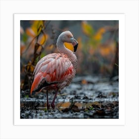 Flamingo 60 Art Print