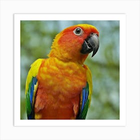 Colorful Parrot 1 Art Print