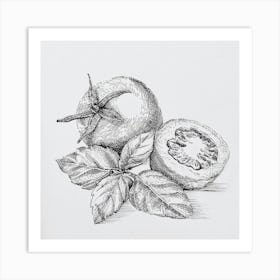 Basil and tomato Art Print