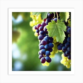 Grapes On The Vine 34 Art Print