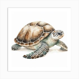 Turtle 1 Art Print