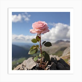 Pink Rose On A Rock Art Print