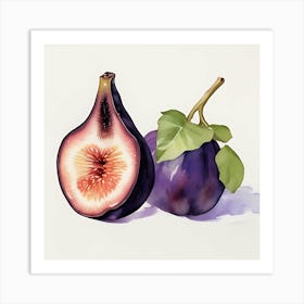 Watercolor Figs Art Print