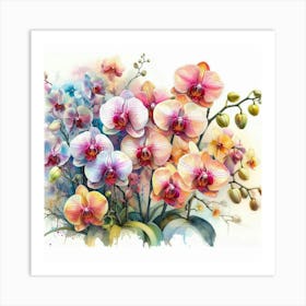 Orchids 13 Art Print