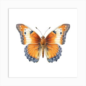 Butterfly 30 Art Print