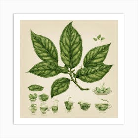 Tea Leaves Art 15 Art Print