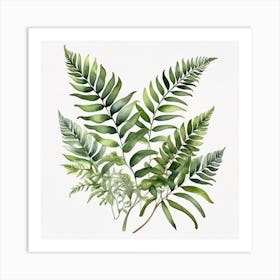 Green fern 6 Art Print