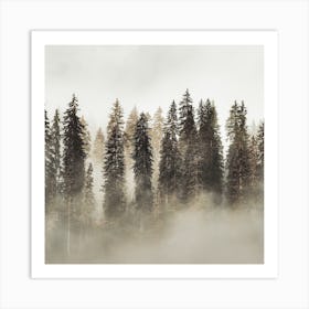 Foggy Pine Forest Square Art Print