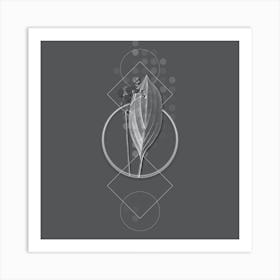Vintage Bulltongue Arrowhead Botanical with Line Motif and Dot Pattern in Ghost Gray Art Print
