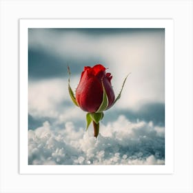 Rose In The Snow Art Print