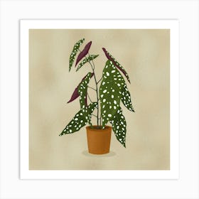 Begonia Maculata Art Print