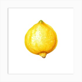 Lemon Watercolor Illustration Art Print