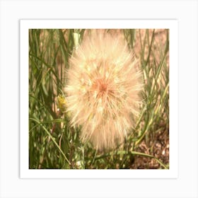 Fleur Black Montain Art Print