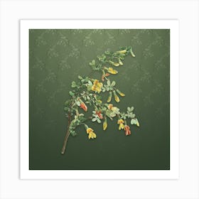 Vintage Caragana Sinica Botanical on Lunar Green Pattern n.0053 Art Print