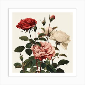 Rose Botanical Art Illustration 1 Art Print