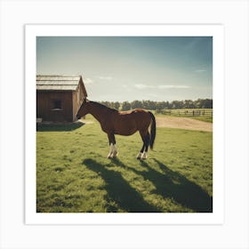 Horse Standing In A Field Art Print