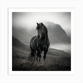 Black Horse Art Print