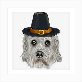 Dandie Dinmont Terrier Wearing Pilgrim Hat Thanksgiving Art Print