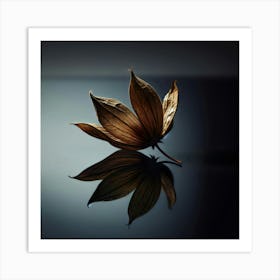 Reflection Of A Leaf Art Print