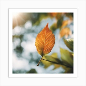 Autumn Leaf Isolated On White Art Print