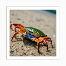 Blue Crab On The Beach Art Print