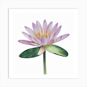 Water Lily Art Print