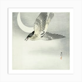 Cuckoo At Crescent Moon (1900 1930), Ohara Koson Art Print